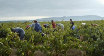 ¿Qué salario deben percibir los trabajadores desplazados en Francia?